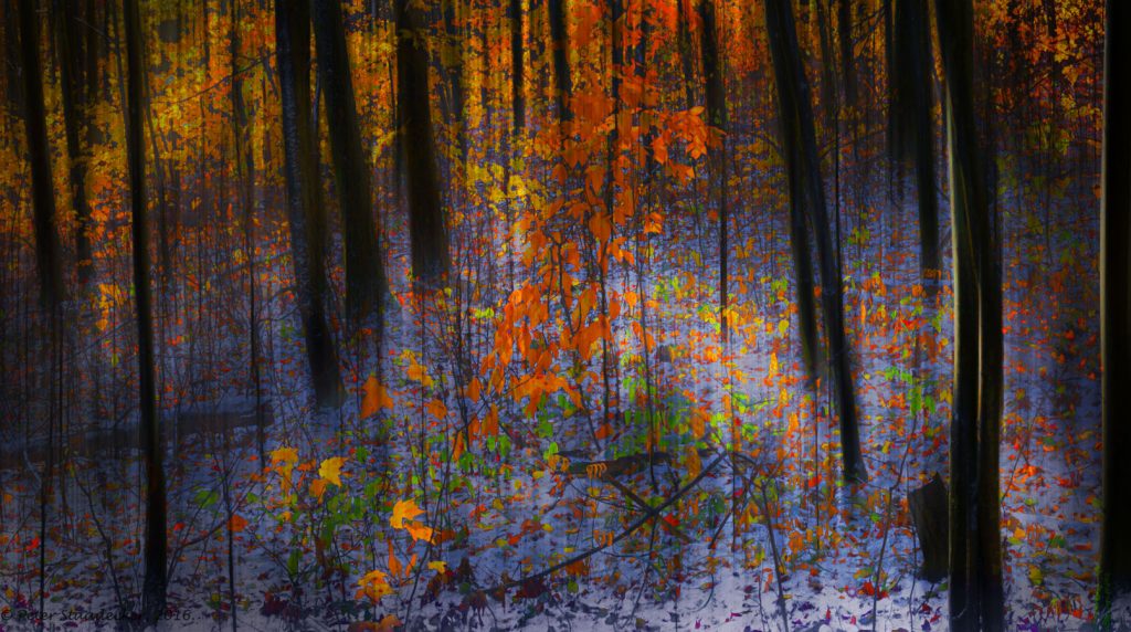 first snow, ganaraska